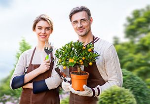 Проект «под ключ» где можно заказать по низкой цене  в Новосибирске