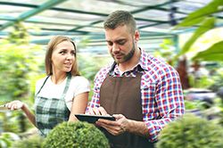 Дендроплан - верное планирование территории и решения этой задачи на уровне  в Новосибирске