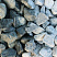Kamenclub.ru: Щебень галтованный зеленый (змеевик) фр. 50-100 мм.  купить в Новосибирске галтовка мраморная зеленый, салатовый мрамор 12 500 руб/т   фото КАМЕНЬ КЛУБ