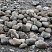 Kamenclub.ru: Речной валун (Ассорти) фр.100-300 мм.  купить в Новосибирске галечник серый, темно-серый, светло-серый речная галька крупных размеров 4200 руб/т   фото КАМЕНЬ КЛУБ