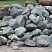 Kamenclub.ru: Гранит скальник (серо-зеленый) фр. 100-500 мм.  купить в Новосибирске гранит зеленый, серый, салатовый крупный ландшафтный валун 6 000 руб/т   фото КАМЕНЬ КЛУБ
