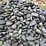 Kamenclub.ru: Темно-серый валунчик фр.100-300 мм.  купить в Новосибирске крупный природный камень серый, темно-серый, светло-серый речная галька большого размера окатанная 4500 руб/т   фото КАМЕНЬ КЛУБ