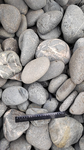 Kamenclub.ru: Галька речная окат (темно-серая) фр. 70-150 мм. купить  в Новосибирске галька речная темно-серая, синяя, серая речная галька округлая  8000 руб/т   фото КАМЕНЬ КЛУБ