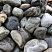 Kamenclub.ru: Речной валун Кабанчик фр.300-500 мм.  купить в Новосибирске крупный природный камень галька серый, темно-серый речной валун галечник масштабный 7000 руб/т   фото КАМЕНЬ КЛУБ
