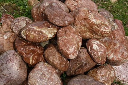 Kamenclub.ru: Розовый валунчик фр.100-300 мм.  купить в Новосибирске крупный природный камень розовый, серый молочный красный речной галечник природный 7850 руб/т   фото КАМЕНЬ КЛУБ