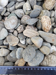 Kamenclub.ru: Галька речная окат (пестрая) фр. 20-40 мм. купить  в Новосибирске галька речная пестрая, серая, серые оттенки галька речная окатанная округлая 5000 руб/т   фото КАМЕНЬ КЛУБ