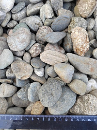 Kamenclub.ru: Галька речная окат (пестрая) фр. 20-40 мм. купить  в Новосибирске галька речная пестрая, серая, серые оттенки галька речная окатанная округлая 5000 руб/т   фото КАМЕНЬ КЛУБ