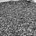 Kamenclub.ru: Щебень крошка черный (мрамор) фр. 10-20 мм.  купить в Новосибирске мрамор черный с белыми прожилками, черный, белый каменная ландшафтная декоративная крошка щебня 11000 руб/т   фото КАМЕНЬ КЛУБ