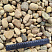 Kamenclub.ru: Галька речная окат рыжая фр. 20-40 мм. купить  в Новосибирске галька речная окатанная рыжая желтая серая округлая речная галька 5000 руб/т   фото КАМЕНЬ КЛУБ