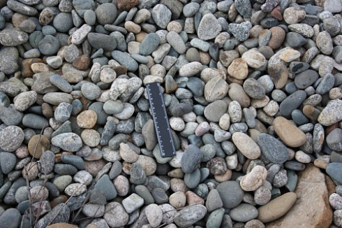 Kamenclub.ru: Галька речная окат (пестрая) фр. 20-40 мм. купить  в Новосибирске галька речная пестрая, серая, серые оттенки галька речная окатанная округлая 5000 руб/т   фото КАМЕНЬ КЛУБ