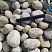 Kamenclub.ru: Галька речная окат (серо-белая) фр. 70-120 мм купить  в Новосибирске галька галечник бело-серая, серо-белая, серая, белая речная природная галька  8000 руб/т   фото КАМЕНЬ КЛУБ