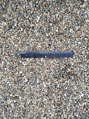 Kamenclub.ru: Галька речная окат (серая) фр.5-10 мм купить  в Новосибирске галька речная серая, серый, темно-серый, светло-серый, коричневый речная окатанная галька декоративная ландшатфная 5000 руб/т   фото КАМЕНЬ КЛУБ