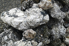 Kamenclub.ru: Черный гранит - кварцит фр. 100-500 мм.  купить в Новосибирске мрамор гранит черный с белыми прожилками, серый, белый валун скальный колотый 7000 руб/т   фото КАМЕНЬ КЛУБ