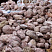 Kamenclub.ru: Розовый валунчик фр.100-300 мм.  купить в Новосибирске крупный природный камень розовый, серый молочный красный речной галечник природный 7850 руб/т   фото КАМЕНЬ КЛУБ