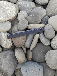 Kamenclub.ru: Галька речная плоская (серо-белая) фр. 70-120 мм. купить в Новосибирске галька галечник речной серый, белый окатанная плоская  природная галька 9000 руб/т   фото КАМЕНЬ КЛУБ