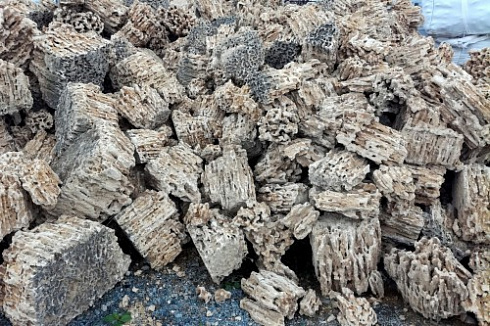 Kamenclub.ru: Крымский природный меотис фр. 100-500 мм.  купить в Новосибирске меотис бежевый рыжий молочный желтый ракушечник 4 500 руб/т   фото КАМЕНЬ КЛУБ