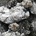 Kamenclub.ru: Черный гранит - кварцит фр. 100-500 мм.  купить в Новосибирске мрамор гранит черный с белыми прожилками, серый, белый валун скальный колотый 7000 руб/т   фото КАМЕНЬ КЛУБ