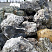 Kamenclub.ru: Черный гранит - кварцит фр. 500-1000 мм.  купить в Новосибирске гранит кварцит черный серый белый скальный колотый валун 9750 руб/т   фото КАМЕНЬ КЛУБ