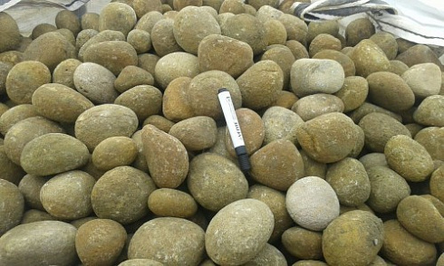 Kamenclub.ru: Песчаник ядра, фр. 100-300 мм  купить в Новосибирске песчаник бежевый серый рыжий речная галька 5 000 руб/т   фото КАМЕНЬ КЛУБ