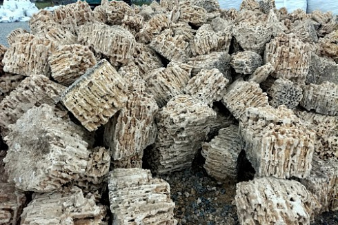 Kamenclub.ru: Крымский природный меотис фр. 100-500 мм.  купить в Новосибирске меотис бежевый рыжий молочный желтый ракушечник 4 500 руб/т   фото КАМЕНЬ КЛУБ