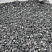 Kamenclub.ru: Щебень крошка черный (мрамор) фр. 40-70 мм.  купить в Новосибирске мрамор черный с белыми прожилками, черный, белый декоративный щебень 11000 руб/т   фото КАМЕНЬ КЛУБ