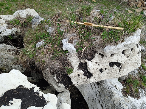 Kamenclub.ru: Выветренный известняк со мхом фр. 100-500 мм.  купить в Новосибирске известняк серый белый зеленый валун известняковый крупный 10000 руб/т   фото КАМЕНЬ КЛУБ