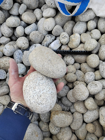 Kamenclub.ru: Галька речная окат (серо-белая) фр. 70-120 мм купить  в Новосибирске галька галечник бело-серая, серо-белая, серая, белая речная природная галька  8000 руб/т   фото КАМЕНЬ КЛУБ