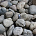 Kamenclub.ru: Темно-серый валунчик фр.100-300 мм.  купить в Новосибирске крупный природный камень серый, темно-серый, светло-серый речная галька большого размера окатанная 4500 руб/т   фото КАМЕНЬ КЛУБ