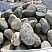 Kamenclub.ru: Речной валун (Ассорти) фр.100-300 мм.  купить в Новосибирске галечник серый, темно-серый, светло-серый речная галька крупных размеров 4200 руб/т   фото КАМЕНЬ КЛУБ