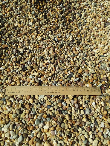 Kamenclub.ru: Галька окат (серо-желтая) фр.5-10 мм. купить  в Новосибирске галька речная рыжий, желтый, рыжий, серо-желтый речная окатанная галька декоративная 5000 руб/т   фото КАМЕНЬ КЛУБ