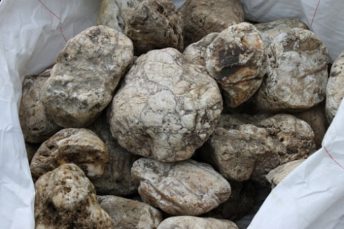 Kamenclub.ru: Кварцевый валунчик фр.100-300 мм.  купить в Новосибирске кварц белый, бежевый молочный рыжий крупный природный камень галечник 7850 руб/т   фото КАМЕНЬ КЛУБ