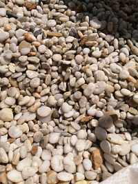 Галька Крымская Жемчужина фр. 10-20 мм.  купить в Новосибирске фото Камень Клуб