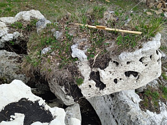 Kamenclub.ru: Выветренный известняк (степной) фр. 500-1500 мм.  купить в Новосибирске    10000 руб/т   фото КАМЕНЬ КЛУБ