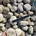 Kamenclub.ru: Галька речная окат (серо-белая) фр. 70-120 мм купить  в Новосибирске галька галечник бело-серая, серо-белая, серая, белая речная природная галька  8000 руб/т   фото КАМЕНЬ КЛУБ