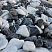 Kamenclub.ru: Мраморная крошка (щебень галтованный микс:: белый-черный) фр.20-40 мм  купить в Новосибирске мрамор белый, черный мраморный галтованный щебень 15500 руб/т   фото КАМЕНЬ КЛУБ
