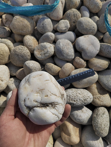 Kamenclub.ru: Галька речная окат (серо-белая) фр. 70-120 мм купить  в Новосибирске галька галечник бело-серая, серо-белая, серая, белая речная природная галька  8000 руб/т   фото КАМЕНЬ КЛУБ