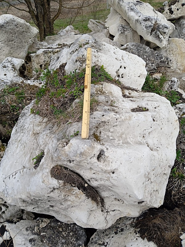 Kamenclub.ru: Выветренный известняк со мхом фр. 100-500 мм.  купить в Новосибирске известняк серый белый зеленый валун известняковый крупный 10000 руб/т   фото КАМЕНЬ КЛУБ