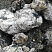Kamenclub.ru: Черный гранит - кварцит фр. 100-500 мм.  купить в Новосибирске мрамор гранит черный с белыми прожилками, серый, белый валун скальный колотый 7000 руб/т   фото КАМЕНЬ КЛУБ