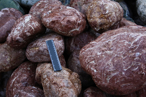 Kamenclub.ru: Розовый валунчик фр.100-300 мм.  купить в Новосибирске крупный природный камень розовый, серый молочный красный речной галечник природный 7850 руб/т   фото КАМЕНЬ КЛУБ