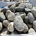 Kamenclub.ru: Речной валун (Ассорти) фр.100-300 мм.  купить в Новосибирске галечник серый, темно-серый, светло-серый речная галька крупных размеров 4200 руб/т   фото КАМЕНЬ КЛУБ
