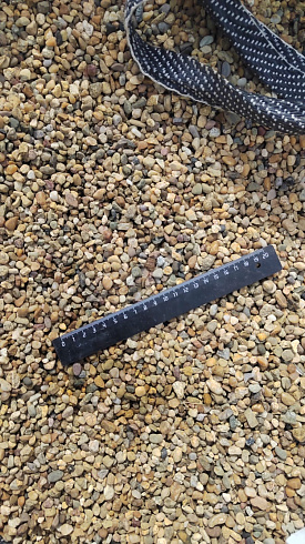 Kamenclub.ru: Галька окат (серо-желтая) фр.5-10 мм. купить  в Новосибирске галька речная рыжий, желтый, рыжий, серо-желтый речная окатанная галька декоративная 5000 руб/т   фото КАМЕНЬ КЛУБ