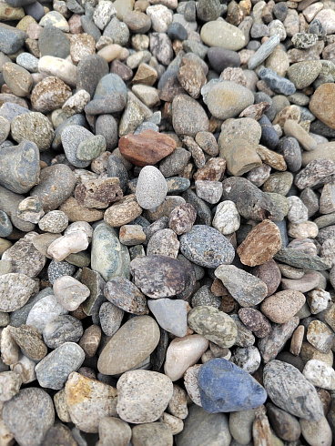 Kamenclub.ru: Галька речная окат (серая) фр.10-20 мм купить  в Новосибирске галька речная серая, серый, темно-серый, светло-серый, коричневый ландшафтная декоративная речная окатанная округлая галька 5000 руб/т   фото КАМЕНЬ КЛУБ