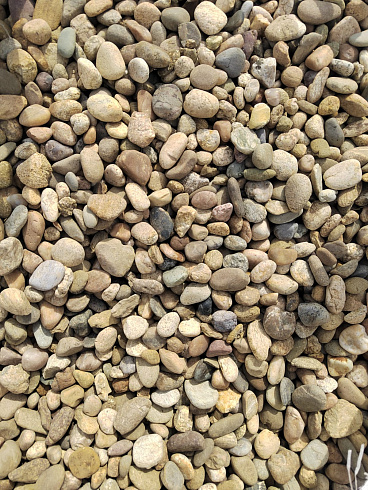 Kamenclub.ru: Галька речная окат рыжая фр. 20-40 мм. купить  в Новосибирске галька речная окатанная рыжая желтая серая округлая речная галька 5000 руб/т   фото КАМЕНЬ КЛУБ