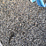Kamenclub.ru: Галька речная окат (серая) фр.3-5 мм купить  в Новосибирске галька речная серая бежевый темно-серый окатанный речной камень округлый 9500 руб/т   фото КАМЕНЬ КЛУБ