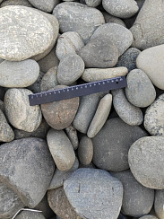 Kamenclub.ru: Галька речная плоская (ассорти) фр. 70-150 мм. купить в Новосибирске галька галечник серый белый темно-серый синий светло-серый плоская природная галька  9000 руб/т   фото КАМЕНЬ КЛУБ