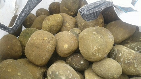 Kamenclub.ru: Песчаник ядра, фр. 100-300 мм  купить в Новосибирске песчаник бежевый серый рыжий речная галька 5 000 руб/т   фото КАМЕНЬ КЛУБ