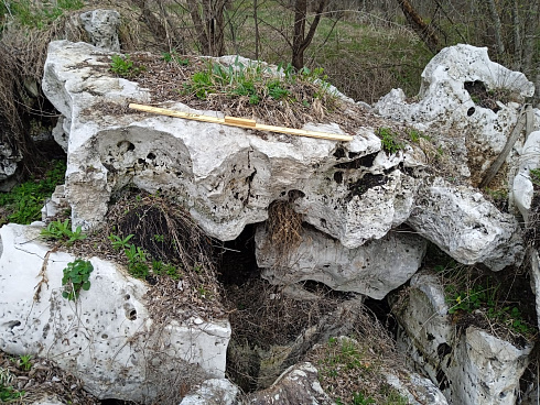 Kamenclub.ru: Выветренный известняк со мхом фр. 100-500 мм.  купить в Новосибирске известняк серый белый зеленый валун известняковый крупный 10000 руб/т   фото КАМЕНЬ КЛУБ