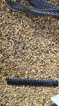 Kamenclub.ru: Галька окат (серо-желтая) фр.5-10 мм. купить  в Новосибирске галька речная рыжий, желтый, рыжий, серо-желтый речная окатанная галька декоративная 5000 руб/т   фото КАМЕНЬ КЛУБ