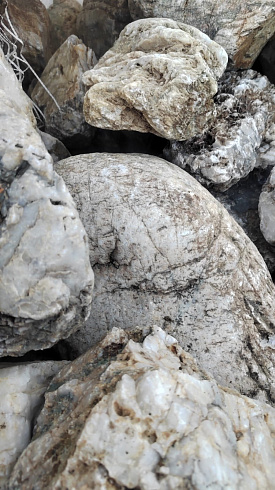 Kamenclub.ru: Кварцевый валунчик фр.100-300 мм.  купить в Новосибирске кварц белый, бежевый молочный рыжий крупный природный камень галечник 7850 руб/т   фото КАМЕНЬ КЛУБ