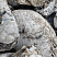 Kamenclub.ru: Кварцевый валунчик фр.100-300 мм.  купить в Новосибирске кварц белый, бежевый молочный рыжий крупный природный камень галечник 7850 руб/т   фото КАМЕНЬ КЛУБ